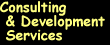 Consulting & Development Services